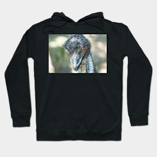 Headshot of a Emu 2 Hoodie